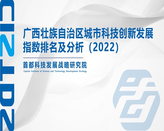 把小鸡鸡放进女生蜜桃里免费看【成果发布】广西壮族自治区城市科技创新发展指数排名及分析（2022）